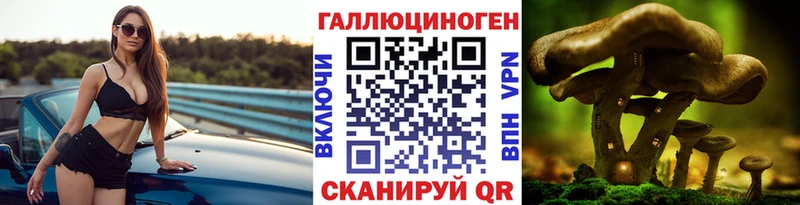 MEGA ссылки  Кодинск  Псилоцибиновые грибы GOLDEN TEACHER 
